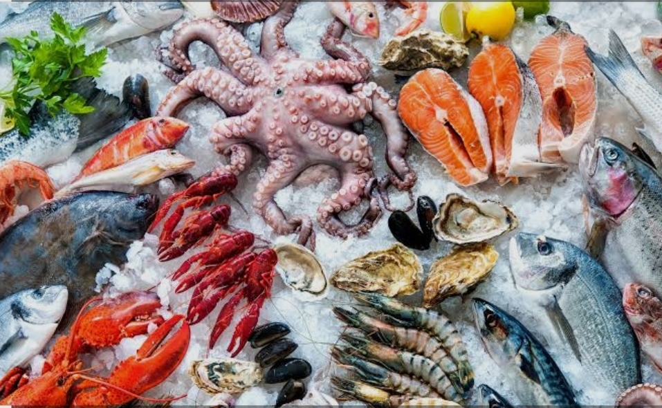 Pesce Fresco/congelato
